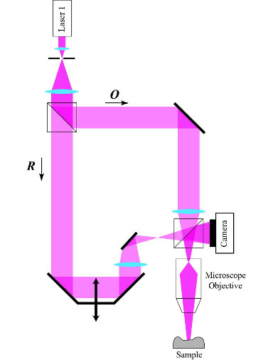 DHM-Holographic-microscopes-R1000